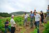 Echanges chercheurs-agriculteurs à Banyuls © Inra